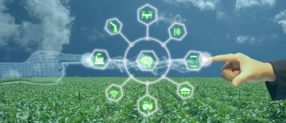 Agricultura inteligente IoT (1).jpg