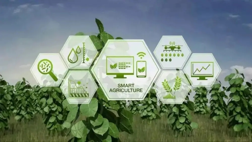 Agricultura inteligente IoT.jpg