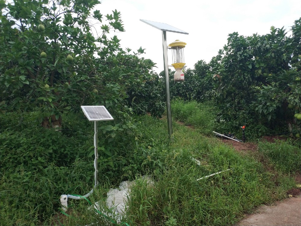 Instalación de estaciones agrometeorológicas en huertos frutales