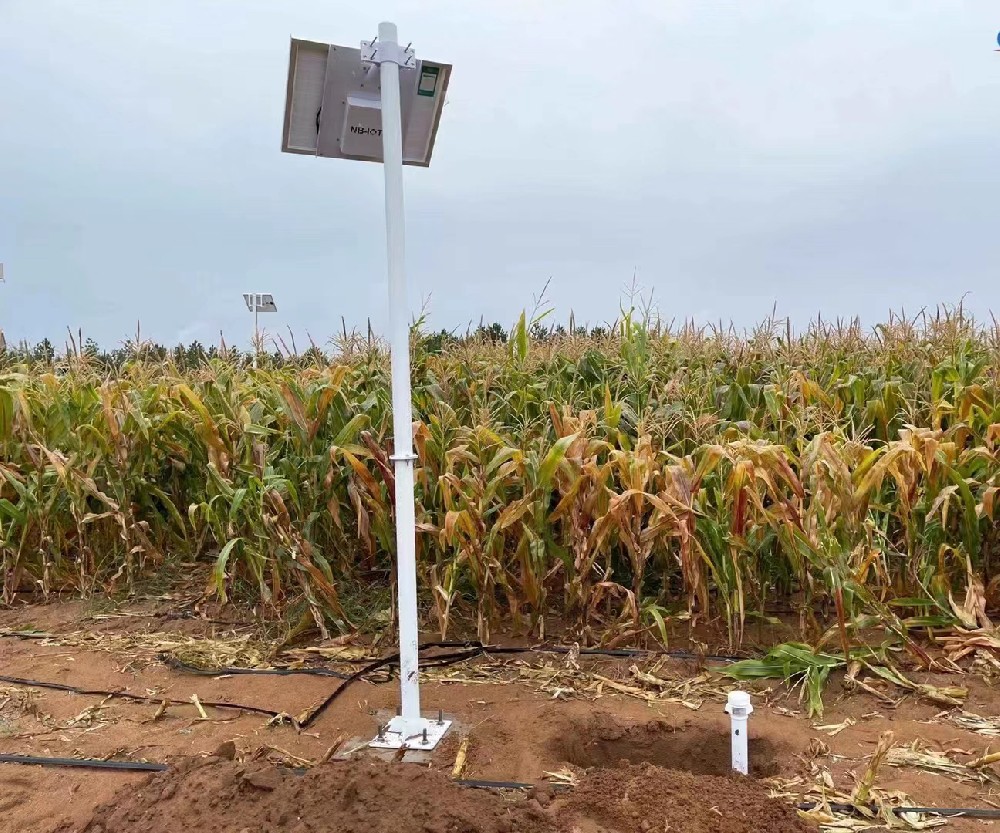 Sistema de monitoreo de temperatura y humedad del suelo para campos de maíz