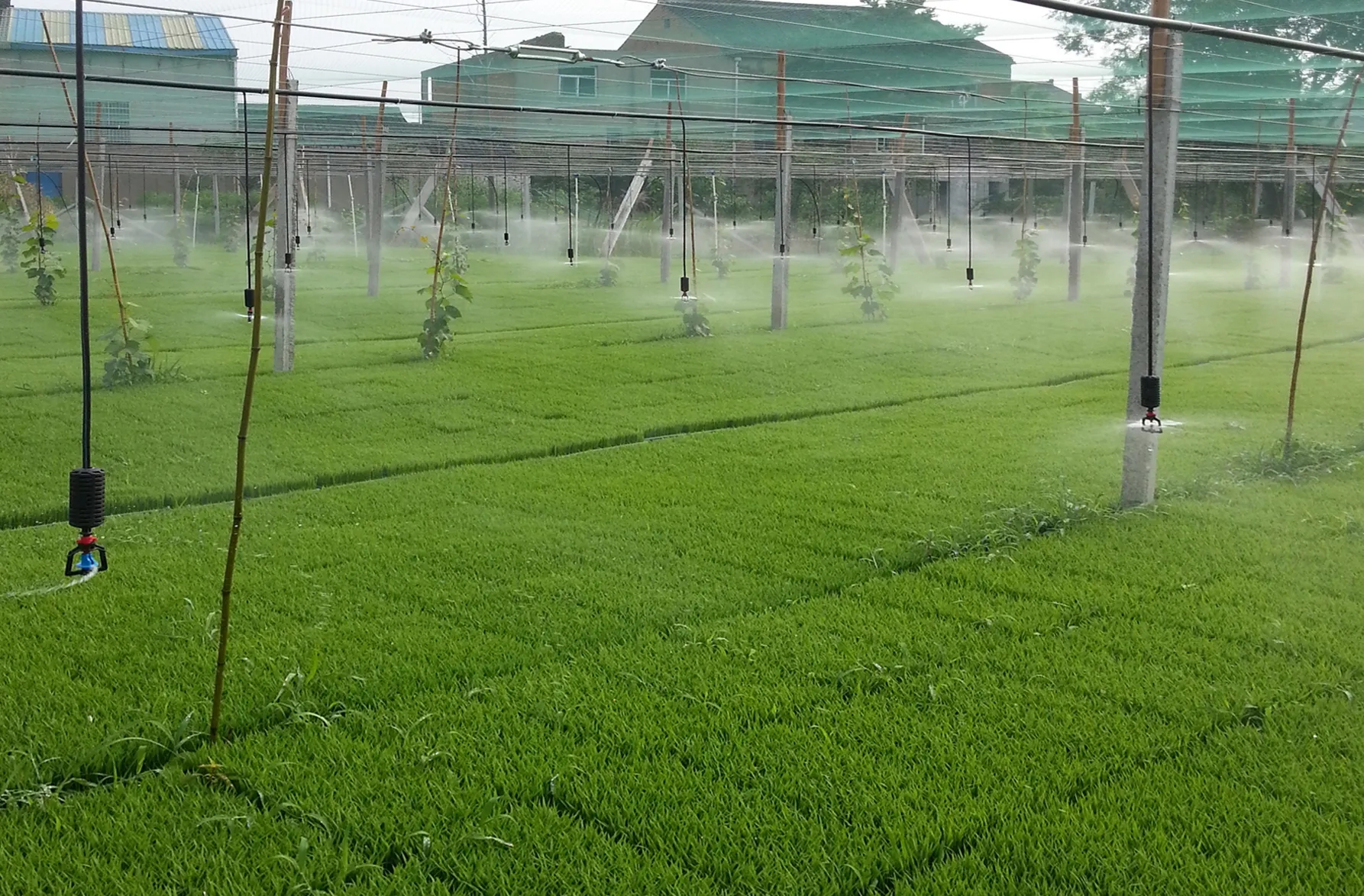 Tecnología de riego para ahorro de agua en la agricultura.jpg