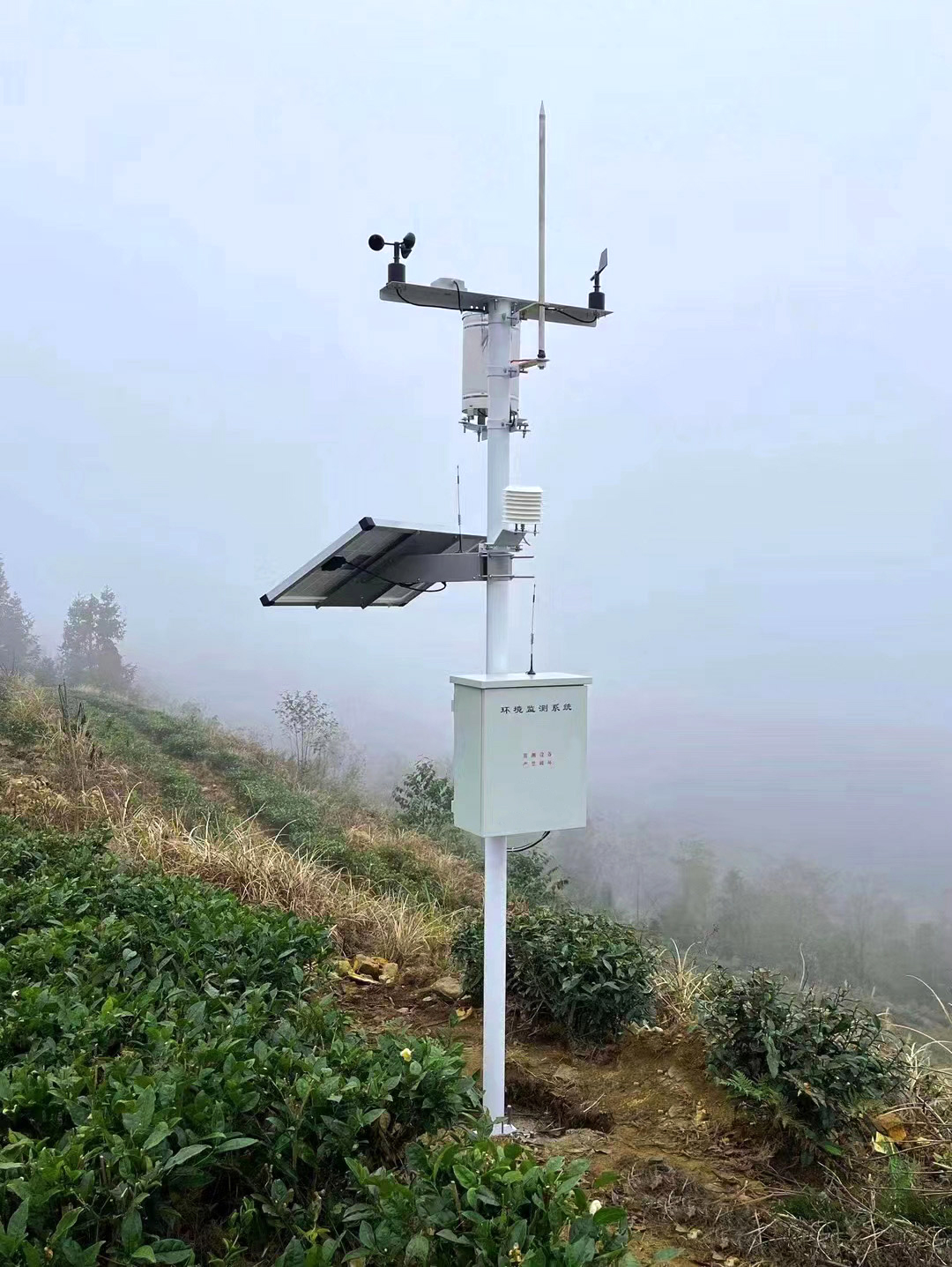 Agricultura y Silvicultura Monitoreo del Clima System.jpg