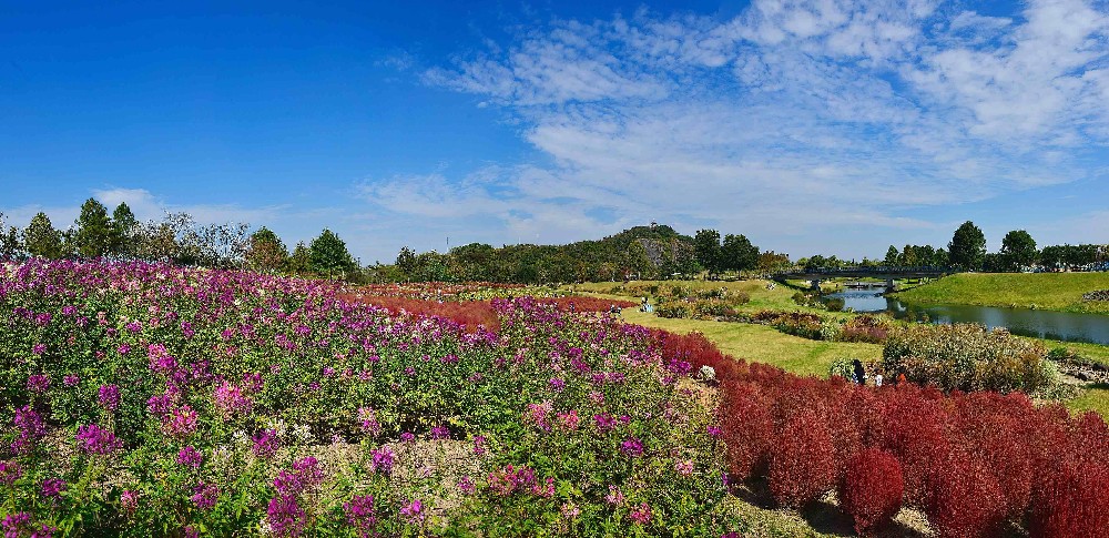 Jardín Botánico.jpeg