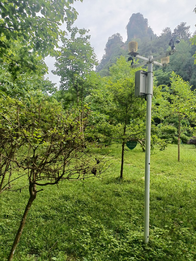 Estaciones meteorológicas para bosques